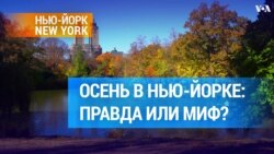 Чем необычна осень в Нью-Йорке?