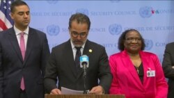 Ecuador pide reforma en el Consejo de Seguridad de la ONU