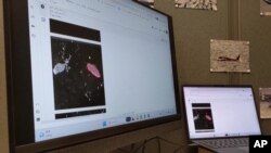 ระบบคอมพิวเตอร์ที่ใช้ AI ช่วยวิเคราะห์ข้อมูลจากดาวเทียมเพื่อทำแผนที่ภูเขาน้ำแข็ง