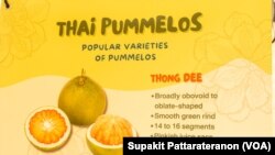 เปิดตัว ‘ส้มโอไทย’ ลุยตลาดอเมริกาผลักดันผลไม้ไทย ของดียังไปต่อได้