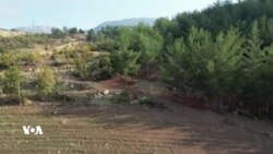 Diyardeya Birîna Daran Li Parêzgeha Duhokê
