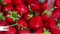 Alerta en Guatemala por brote de enfermedad neurológica 