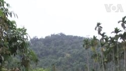 中国拟再砍对台关税优惠 学者:以商逼政效果不佳