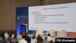 La Dra. Diana Rojas, de la OMS, destaca el cambio climático como un factor principal del aumento de enfermedades arbovirales transmitidas por mosquitos, debido al impacto en el crecimiento, desarrollo y transmisión de estas enfermedades.