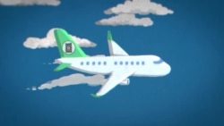 Las aerolíneas buscan combustible vegetal para sus aviones. Pero ¿deberían?