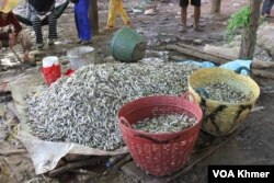 ត្រីរៀលដែលទើបដែលលើកចេញពីទន្លេ ក្នុងផែឡូនេសាទគីឡូម៉ែត្រលេខ៩ ក្នុងខណ្ឌឬស្សីកែវ រាជធានីភ្នំពេញ នាថ្ងៃទី២១ ខែធ្នូ ឆ្នាំ២០២៣។ (ស៊ឹម ចាន់សំណាង/វីអូអេ)