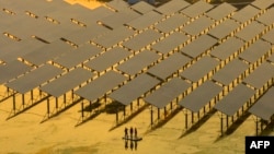 2023年7月12日江蘇泰州漁光互補光伏發電基地工人們檢查太陽能電池板