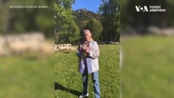 Катя Бльостка про блогерство у США: заробітки, переваги й недоліки. Відео