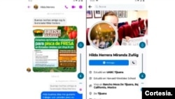 Captura de pantalla de una publicación en Facebook de una oferta para trabajar en Estados Unidos.