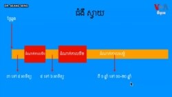 Hello VOA សុខភាព៖ ជំងឺស្វាយជាជំងឺដ៏មាន«ពុតត្បុត»