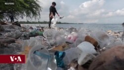 སའི་གོ་ལའི་ཉིན་མོ་དང་འགྱིག་ཤོག་གི་གནོད་འཚེ།