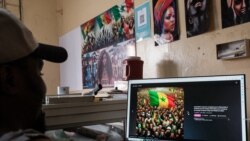 Kunu tarata don na, Senegal kunnafonidiso ani kunnafonidilaw caman ye nisongoya baarabila boloda 