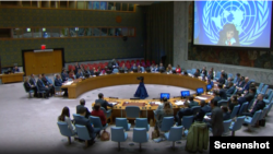 Nga takimi i Këshillit të Sigurimit (8 shkurt 2024, UN feed)