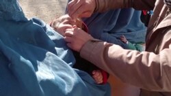 افزایش همکاری مردم با برنامه محو ویروس پولیو در غزنی