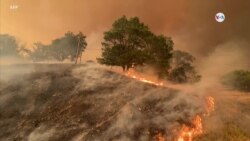 Contaminación por incendios -Juan Castillo- Experto OPS