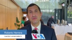 Energías renovables Latinoamérica -Roberto Herrera- opinión