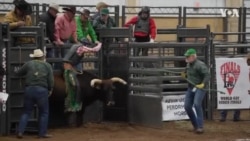 Hogar de los Valientes [Documental]