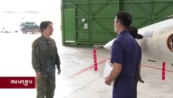 ཐེ་ཝན་གྱི་དམག་སྦྱོང་དང་ལའེ་ཆིང་ཏེའི་སྐུལ་མ།