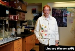 Dr. Nora Disis, director of the UW Medicine Cancer Vaccine Institute, Thursday, May 25, 2023, at the institute's campus in Seattle. (AP Photo/Lindsey Wasson)