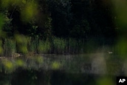 Grass is reflected in water at Crawford Lake in Milton, Ontario, on Friday, July 7, 2023. (Cole Burston/The Canadian Press via AP)