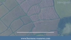 စစ်တပ်သိမ်းထားတဲ့လယ်တွေ မူလပိုင်ရှင်ထံပြန်အပ်ဖို့ PDF ဆောင်ရွက်နေ