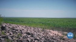 Urush oqibatlari: Ukraina qishloqlarida suv muammosi