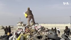 طالبانو په بلخ کې نشه يي توکي سوځولي دي 