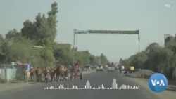 የመከላከያ ሠራዊት እና የፋኖ ታጣቂ ግጭት ያለቅድመ ኹኔታ በአስቸኳይ እንዲቆም ኢሰመኮ ጠየቀ