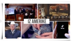 Iz Amerike 146 | Kongres o Tik toku; Teksas i rasizam; Istraga povlačenja iz Avganistana; Ukrajinske pletilje
