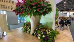 Proflora, el encanto de las flores colombianas muestra su belleza al mundo