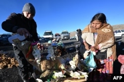 Entre las ofrendas entregadas a la tierra el Día de la Pachamama están: las semillas de árboles nativos, agua, hojas de coca, hierbas medicinales y aromáticas. También bebidas fermentadas como la chicha y caña con ruda. Los habitantes de pueblos andinos también elaboran artesanías para celebrar el día. [APP] Artesanías elaboradas por los habitantes de los pueblos andinos. Alimentos típicos de cada región, preparados con los productos cosechados: frutas, maíz, papas, quinoa, entre otros.