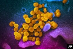 COVID-19 hastalığına yakalanan bazı kişilerde uzun etkili semptomlar görülüyor ancak bunun nedeni de henüz bilinmiyor.