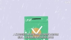 2024 美国总统大选--什么是选举人团？