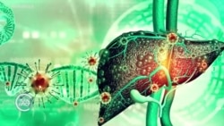 ሄፐታይተስ ቢ”ን የመከላከል ጥረት