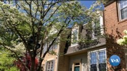 Bobur Malikov: O'zbekiston hozir qay nuqtada?