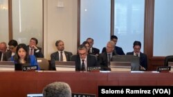 Alejandro Dávalos, viceministro de Movilidad Humana de Ecuador, habla ante representantes de la OEA en Washington el 9 de abril de 2024.