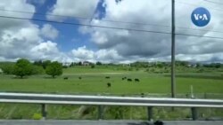 Pensilvaniya yo'llarida #PennState 