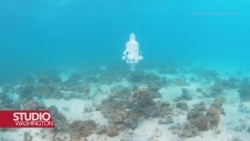 Umjetna inteligencija, podvodni dron i spašavanje koralja