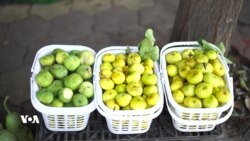 Hejîrên Navdar yên Hewraman Zêde Tên Hezkirin