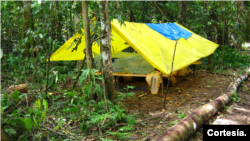 En la Amazonía viven 34 millones de personas, 9 % de las cuales son comunidades nativas, 420 pueblos indígenas distintos que hablan 86 lenguas y 650 dialectos. [Fotografía: Cortesía de Iván Brehaut]