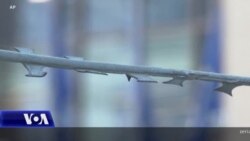 Udhëheqësit evropianë zgjedhin drejtuesit e rinj të institucioneve kryesore t[ BE-së