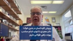 پرورش کلیه انسان در جنین خوک؛ دکتر سعیدی: تا تولید اندام «مناسب پیوند» راهی طولانی داریم