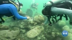 Issiq ob-havo Florida marjon qoyalarini nobud qilmoqda