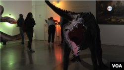 En Fotos | Una exposición muestra el porqué en Colombia aún 'habitan' gran cantidad de dinosaurios 