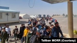 ملل متحد گفته است که ایران و پاکستان روند اخراج اجباری مهاجران افغان را شدت داده و روزانه هزاران مهاجر افغان توسط پولیس این کشورها بازداشت و به کشور شان بازگرداننده می‌شوند.