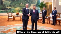 中国领导人习近平在北京人大会堂会见到访的美国加州州长纽森。（2023年10月25日）