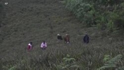 ဖက်ရှင်ပစ္စည်းထုတ်နိုင်တဲ့ နာနတ်စိုက်ခင်း
