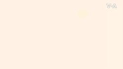 Annapolis အန်နာပိုလစ်မြို့ “မကြေးမုံ အင်္ဂလိပ်စာ”
