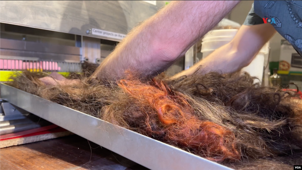 El uso de residuos generados en peluquerías, son transformados en láminas y discos acolchados que nutren los suelos y retienen la humedad.