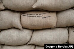 Russia Ukraine War Global Reaction